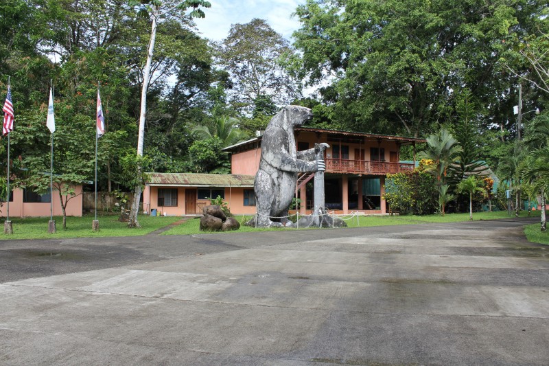 Salvador, a life-size replica of the extinct Giant Ground Sloth
