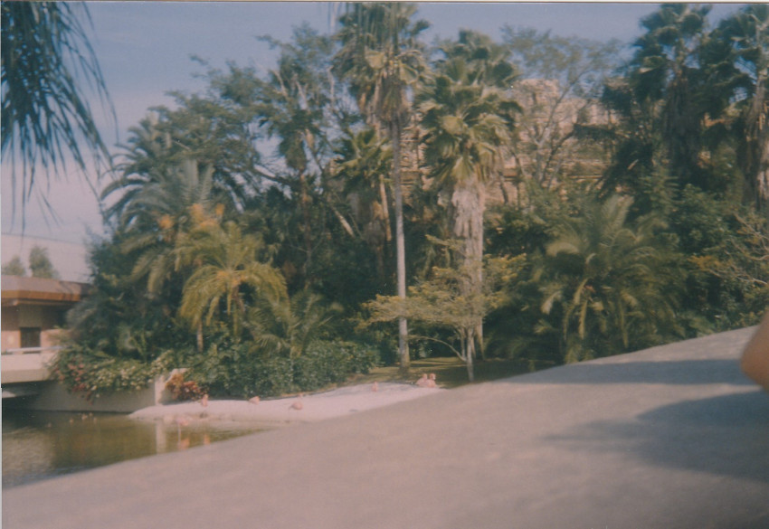 Trip to Cancum Mexico Oct 1980
