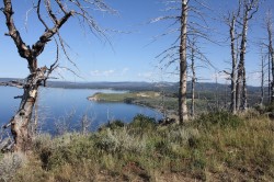 Yellowstone_lake_Butte_lookout_IMG_2577.JPG