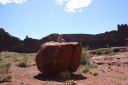 Filename=web_IMG_5770.JPG
Filesize=65KiB
Dimensions=800x533
Date added=Jul 15, 2016 web_IMG_5770.JPG